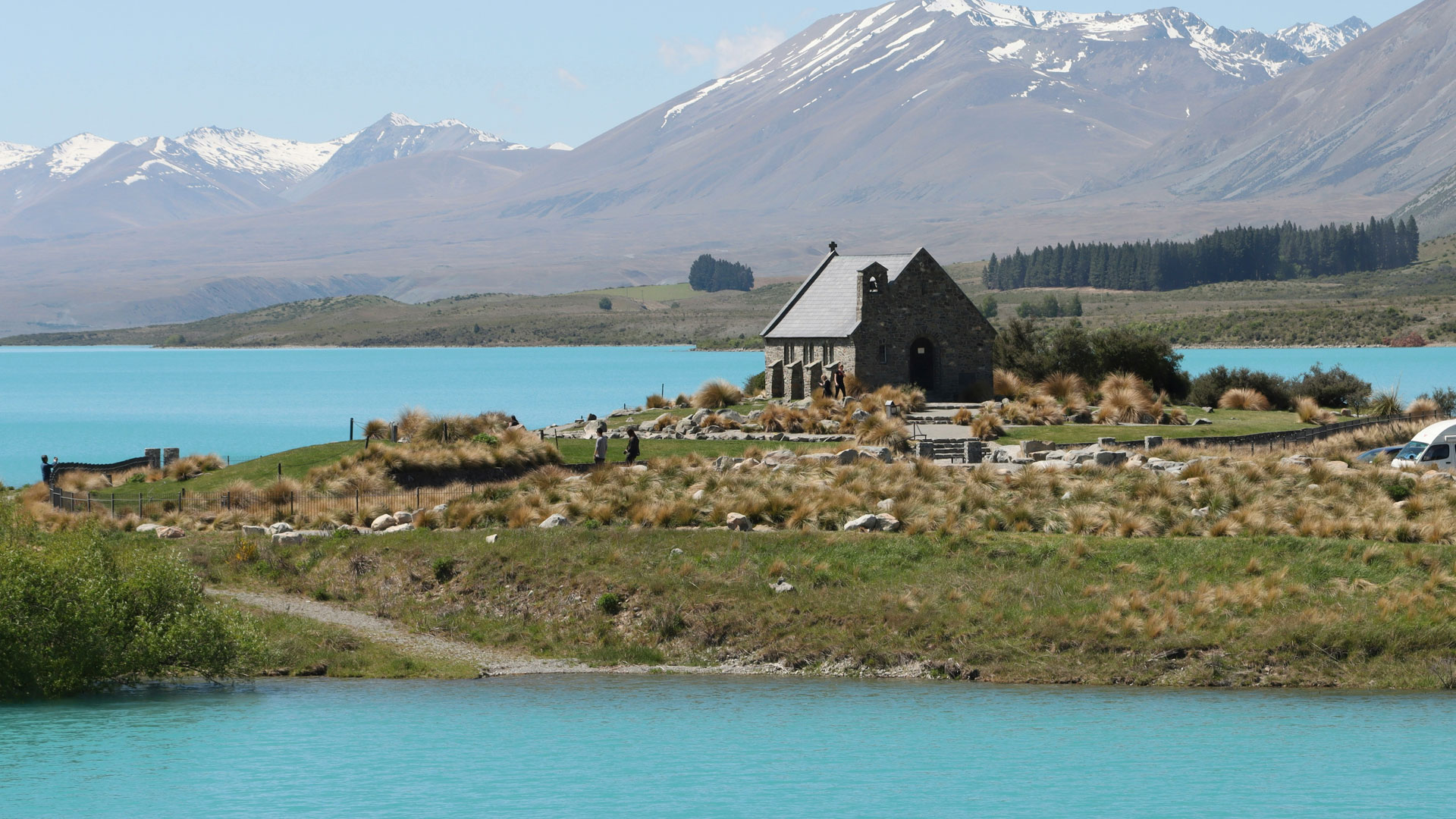 Lake Tekapo Hoste in a Lake