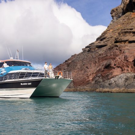 Akaroa Harbour Nature Cruise in Canterbury